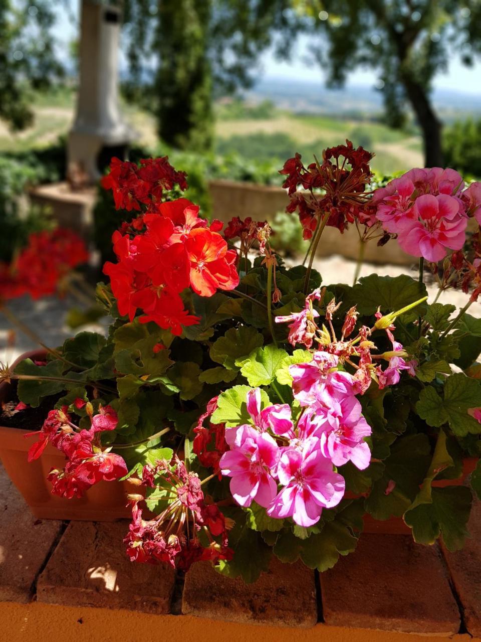 Il Leccio - Casa Toscana San Gimignano กัมบาสซี แตร์เม ภายนอก รูปภาพ